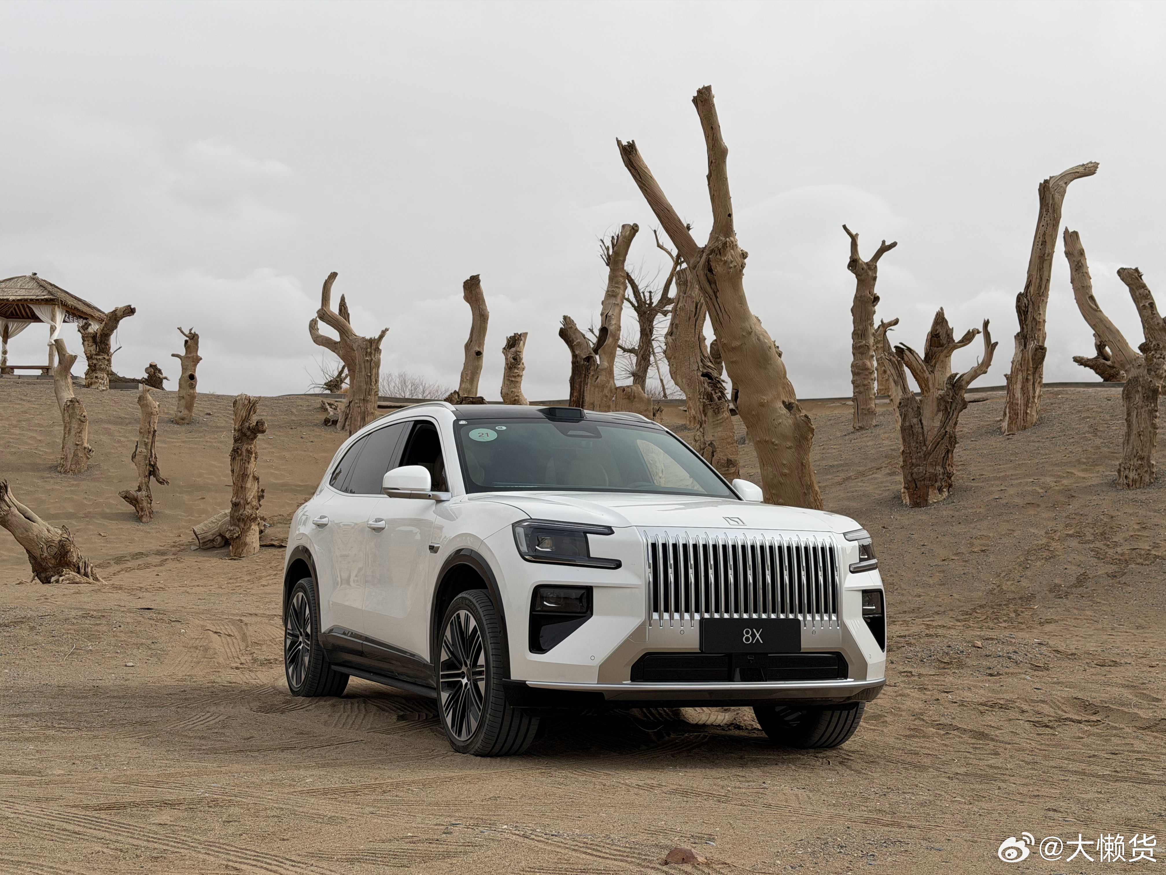 羡慕领导在大西北开极氪8x 