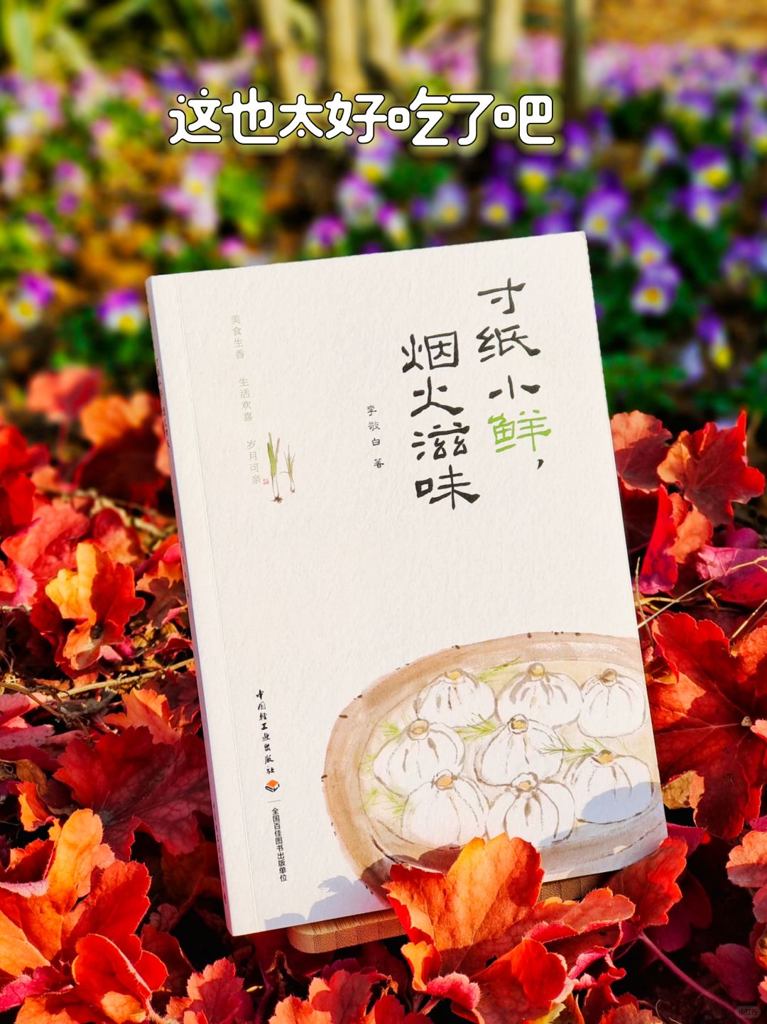 寸纸小鲜，烟火滋味，治愈所有不开心
