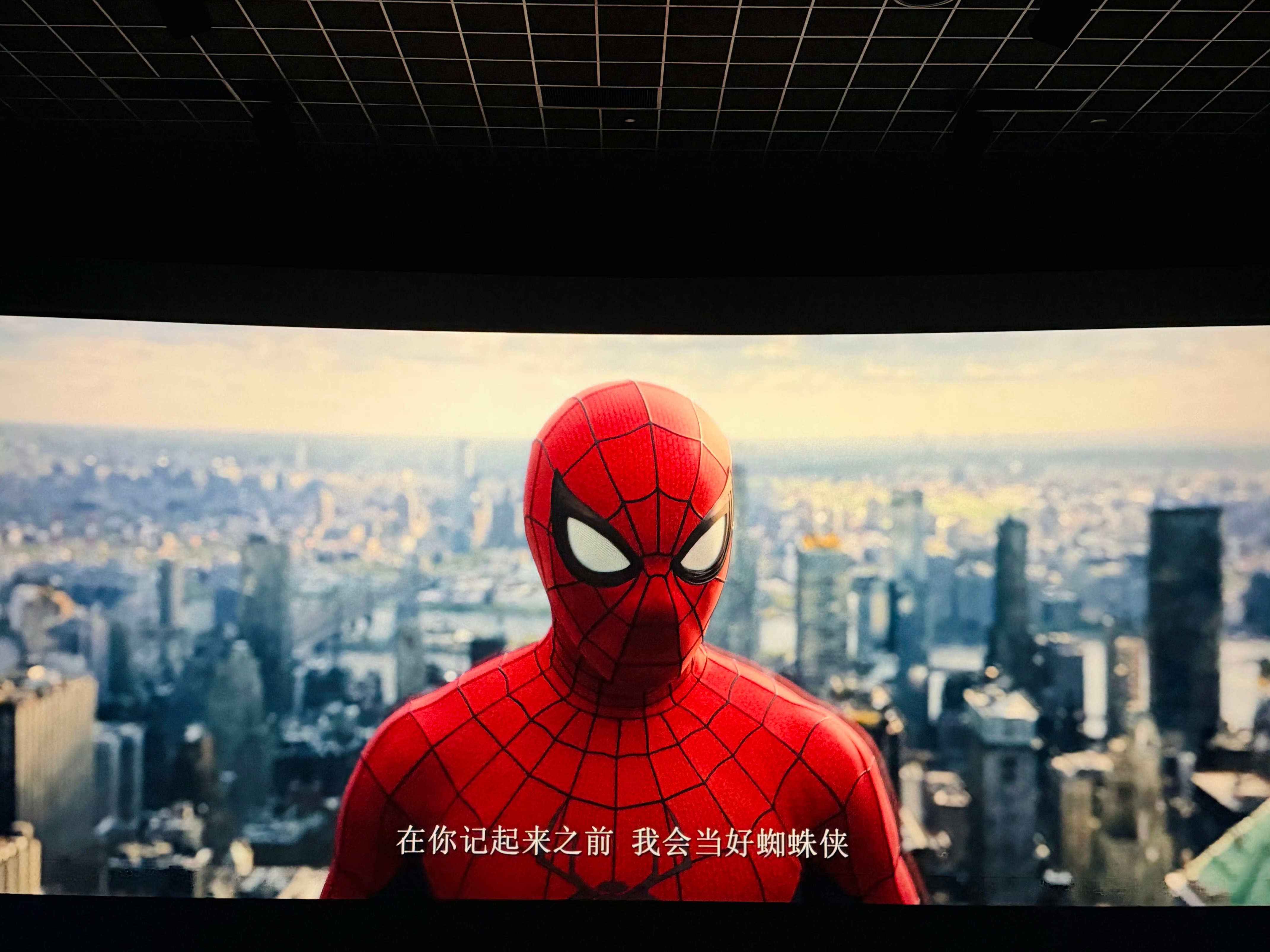 蜘蛛侠：崭新之日🕷 龙港