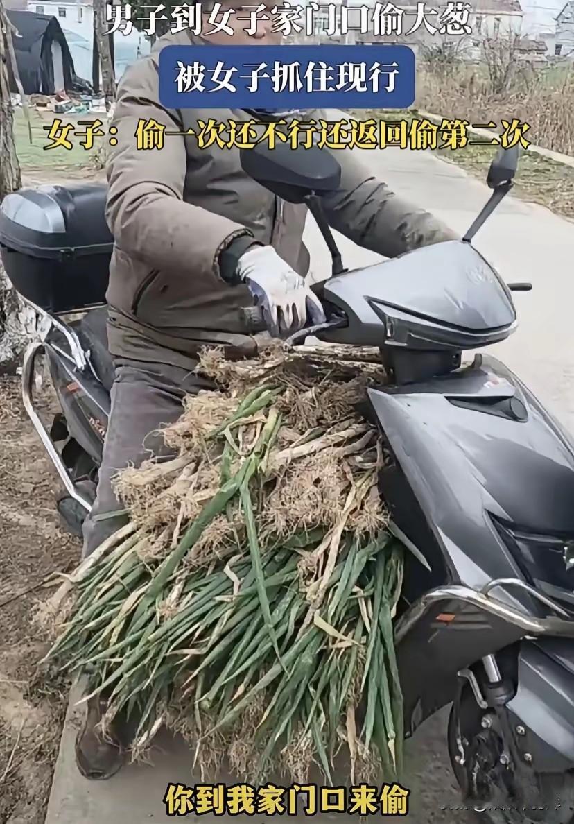 脸都不要了！江苏，一女子在菜地里发现有人偷葱，当场抓了个现行，谁知男子不但没有悔