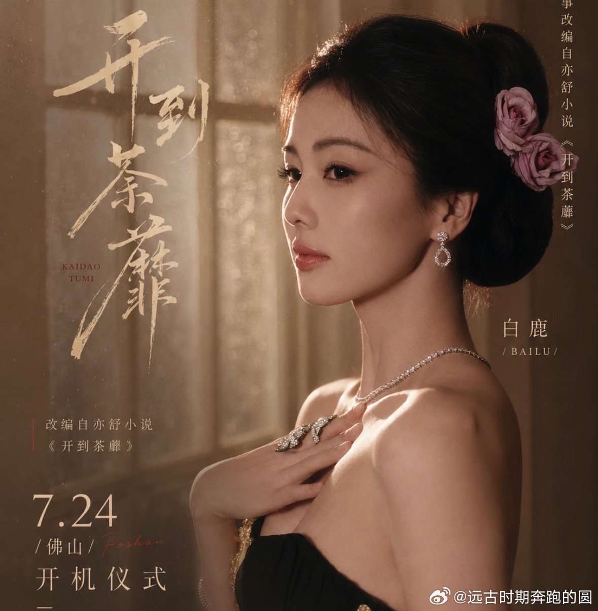 白鹿新剧导演李木戈《开到荼蘼》正式开机，能看出白鹿对事业规划很有想法。告别十年经