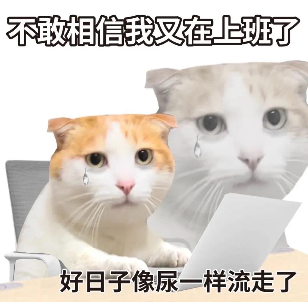 不敢相信，我又开始上班了