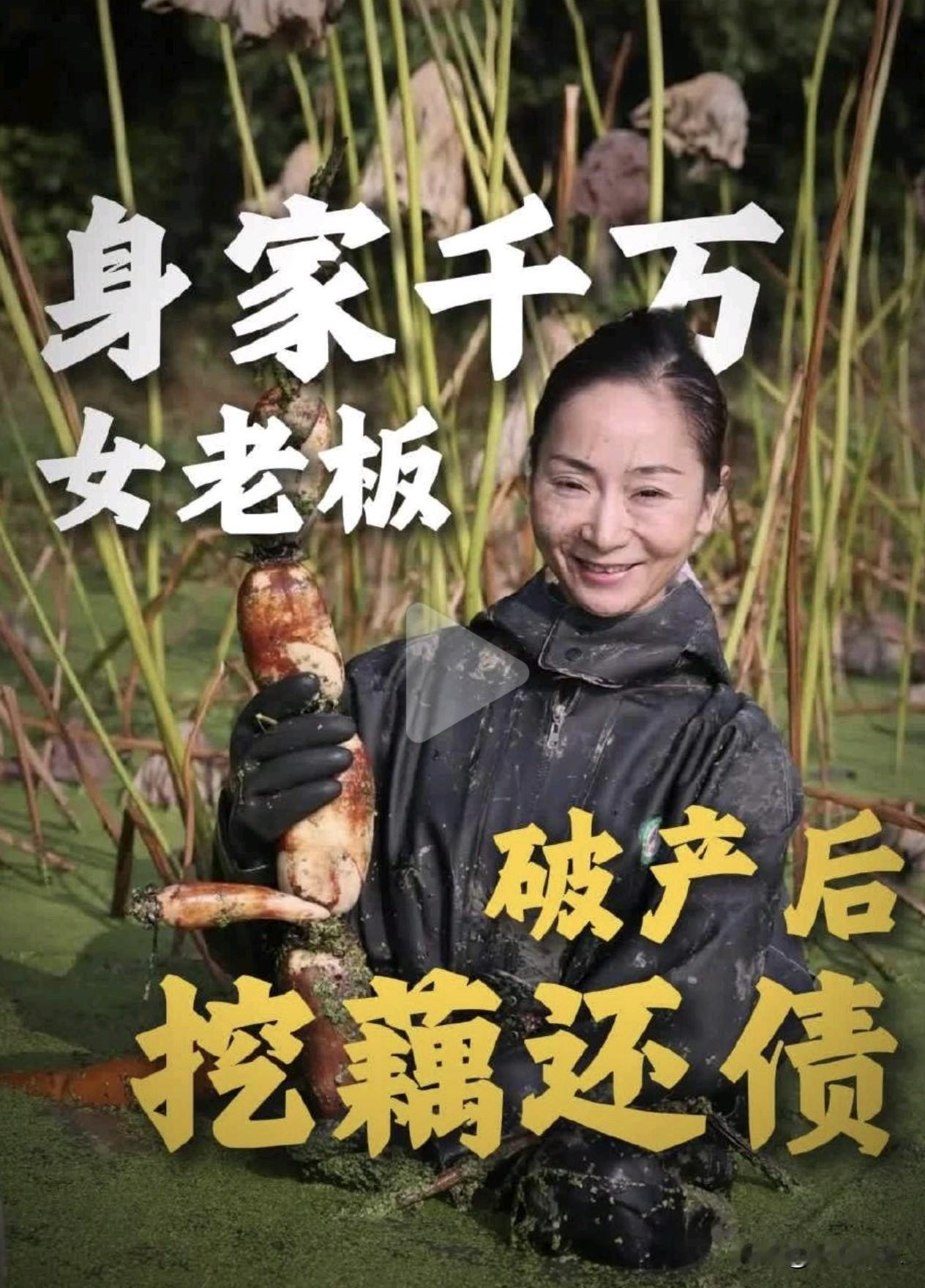 从千万富姐到“泥腿子”，44岁女老板破产后直播挖藕还债500万！

你能想象吗？