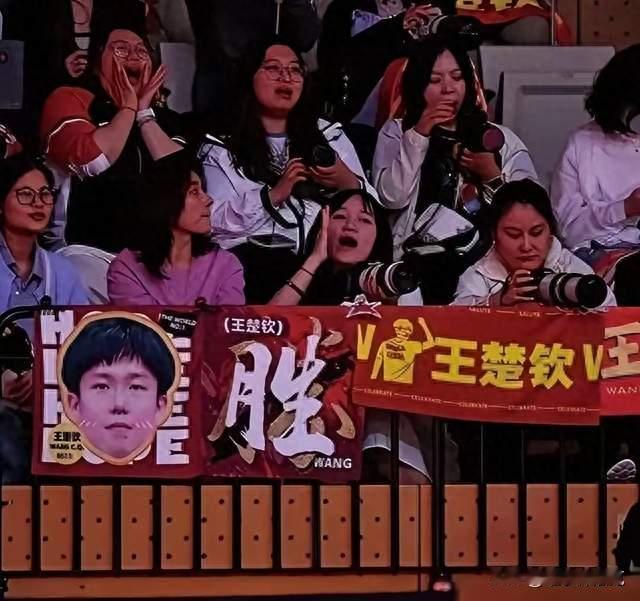 体育饭圈屡禁不止？整治还是太温柔