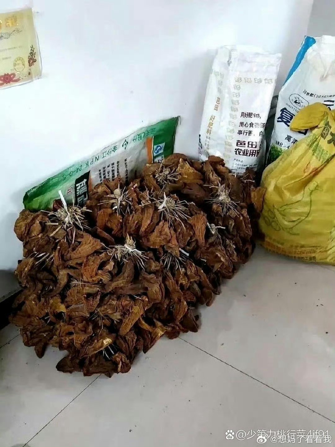 这才是真正的大户人家，太让人羡慕了 ​​​