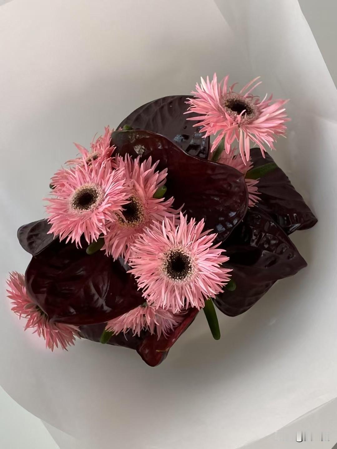 生活美学｜花艺之美
花是礼物，花也是四季的风景。
随手拍 插花