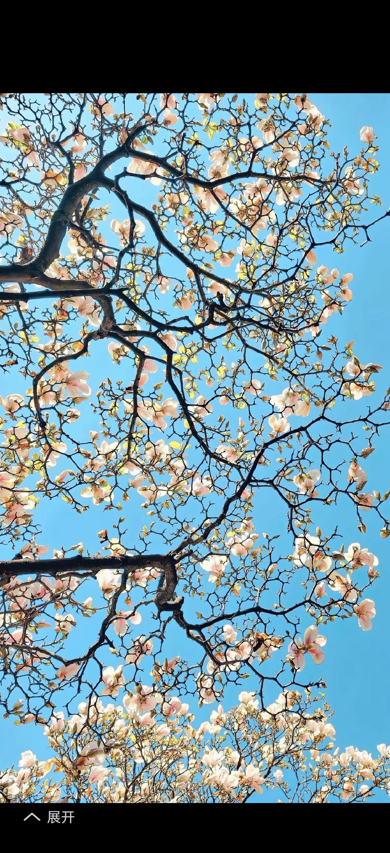 我超级认可诚信是无形的财富。就职场来说，诚信是人际财富的通行证。像能力诚信，面试