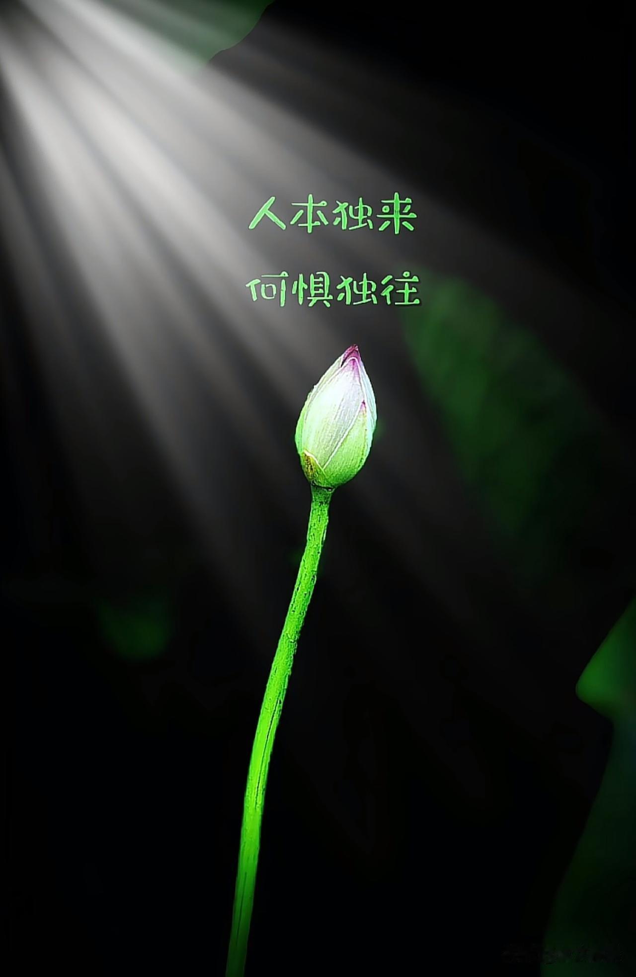 “才高权微，犹作奴仆”：太深奥了！
翻译过的意思就是：人的尊严是权力给的，无权之