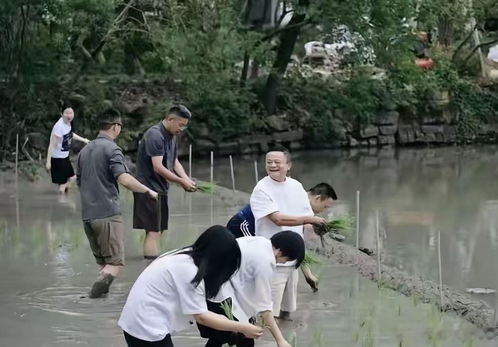 今天，阿里巴巴内网发文，记录阿里合伙人团建插秧活动。照片中，马云、吴泳铭、邵晓锋