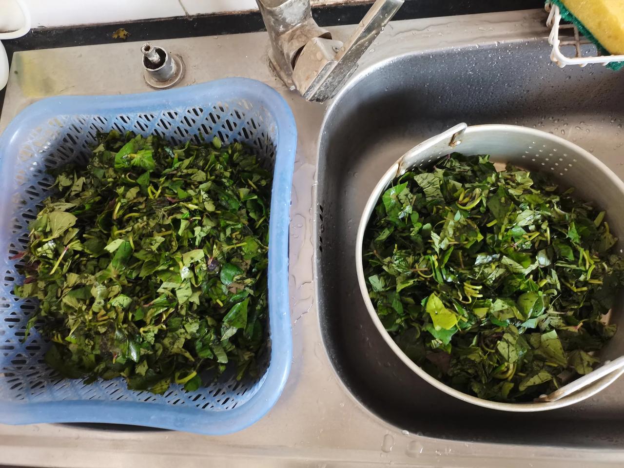 今年最后一次用红薯叶塌菜馍了。出红薯时把完好的叶子摘下来，今年最后一次吃红薯叶了