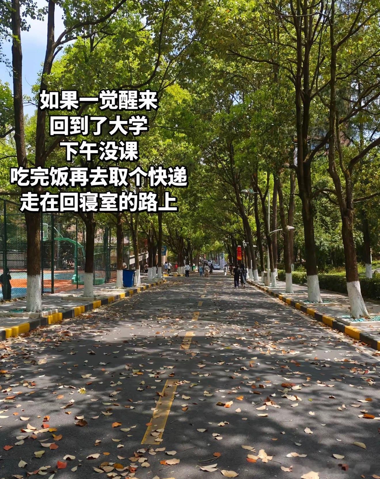 人生是一场巨大的后知后觉情感热点创作激励计划