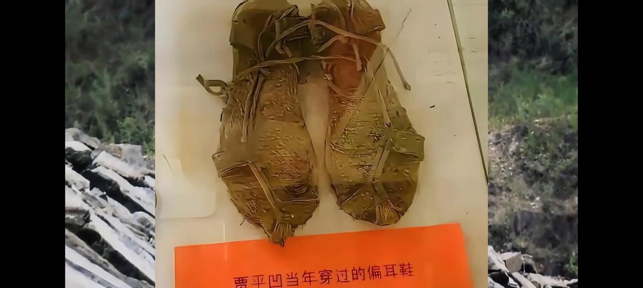 贾平凹小时候穿过草鞋，赫然陈烈于他的文学馆里，这不是捧文学，这是捧臭脚！

红军