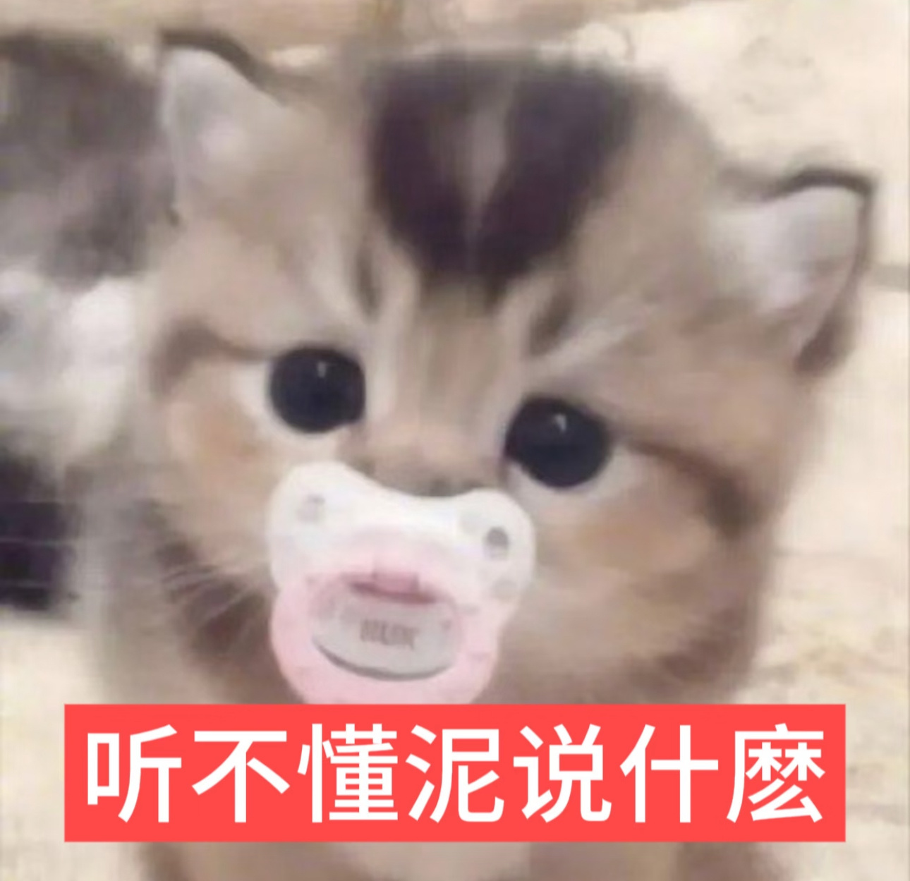 本来被金家主、金族长、程寺卿气得不行了！结果听到“展大哥……我们争了这么久，根本