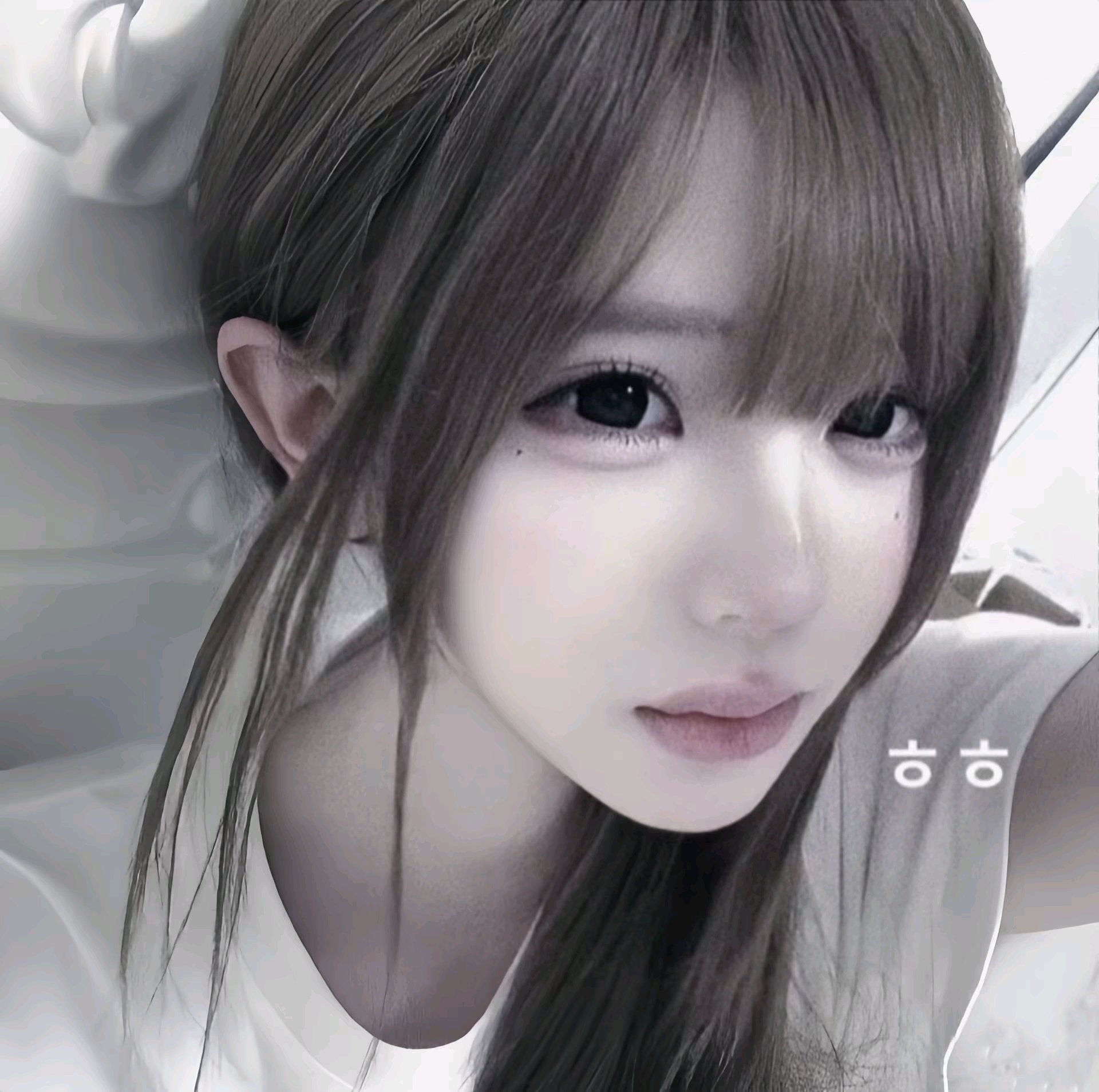 𝙒𝙚𝘾𝙝𝙖𝙩 | 氛围感头像 | ins头像 | 女头 | 高清头像
