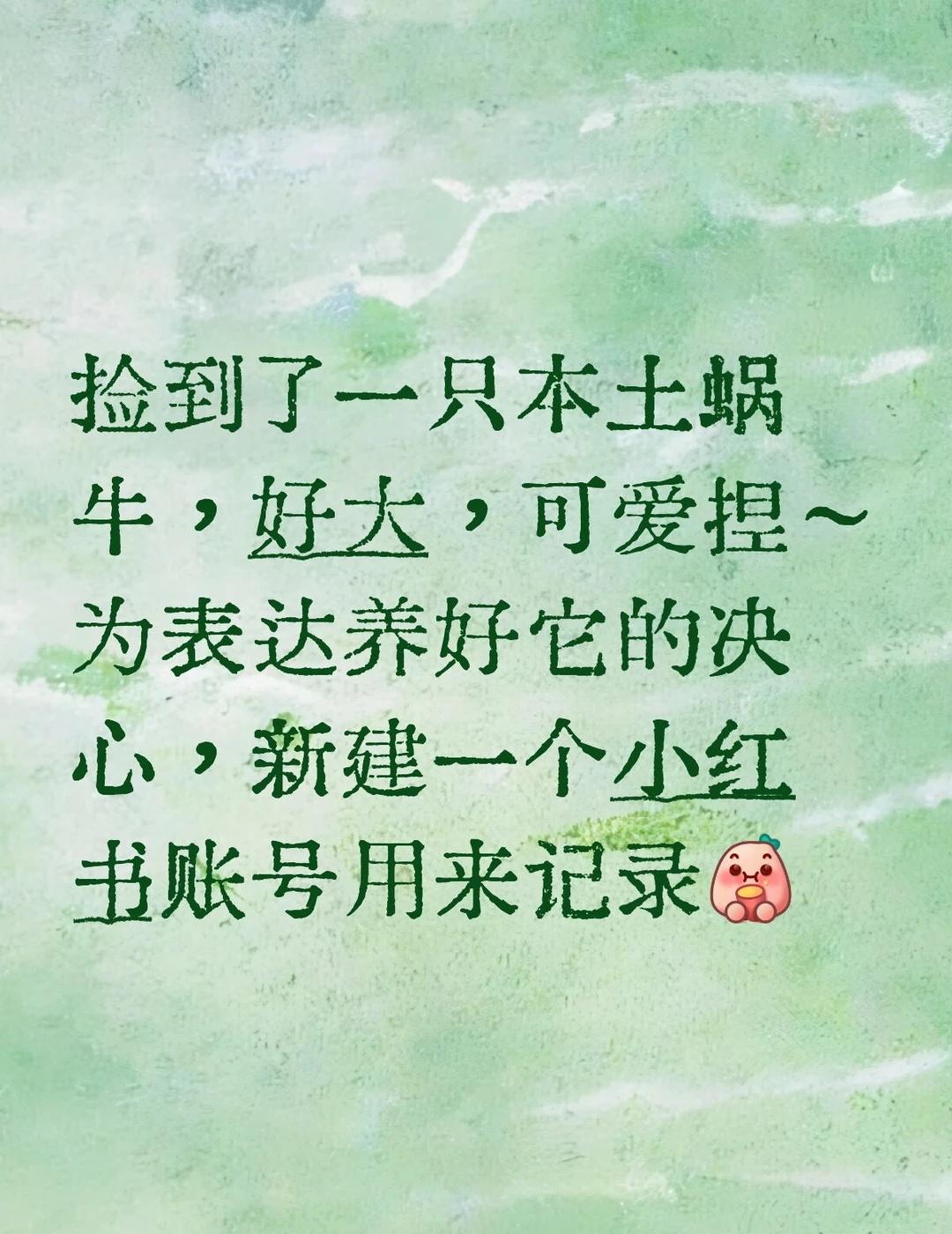 前言
捡到了一只本土蜗牛，好大，可爱捏～
为表达养好它的决心，新建一个账号用来记
