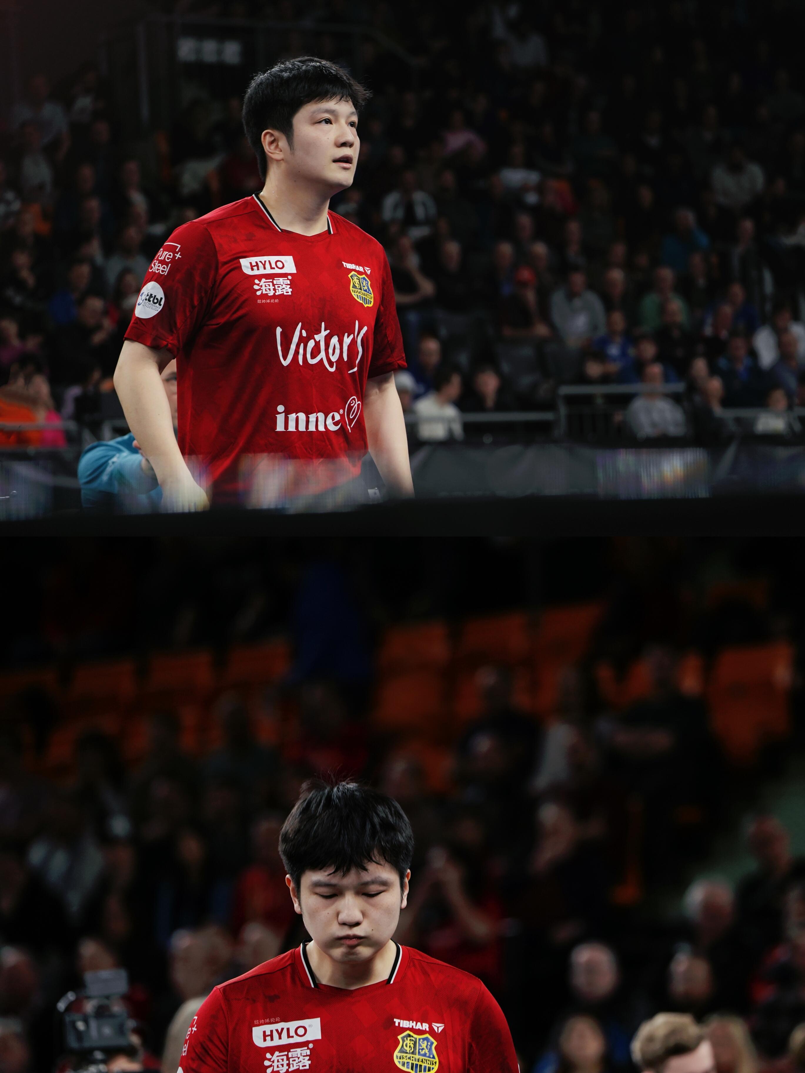 太帅了 樊振东壁纸 少年意气不曾减，巅峰之路仍向前。樊振东，每一次挥拍都是信仰，