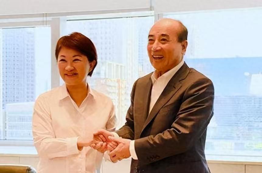 国民党团重大交接，卢秀燕与王金平密谈，谈及1个时间点，不简单

日前，就在民进党