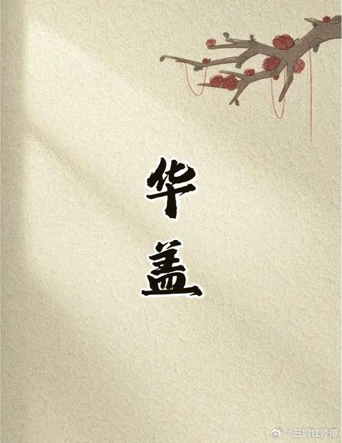 命带华盖前世修，今生难断俗缘愁。八字辰戌丑未相伴，华盖栖身，皆是累世修行人，偏要