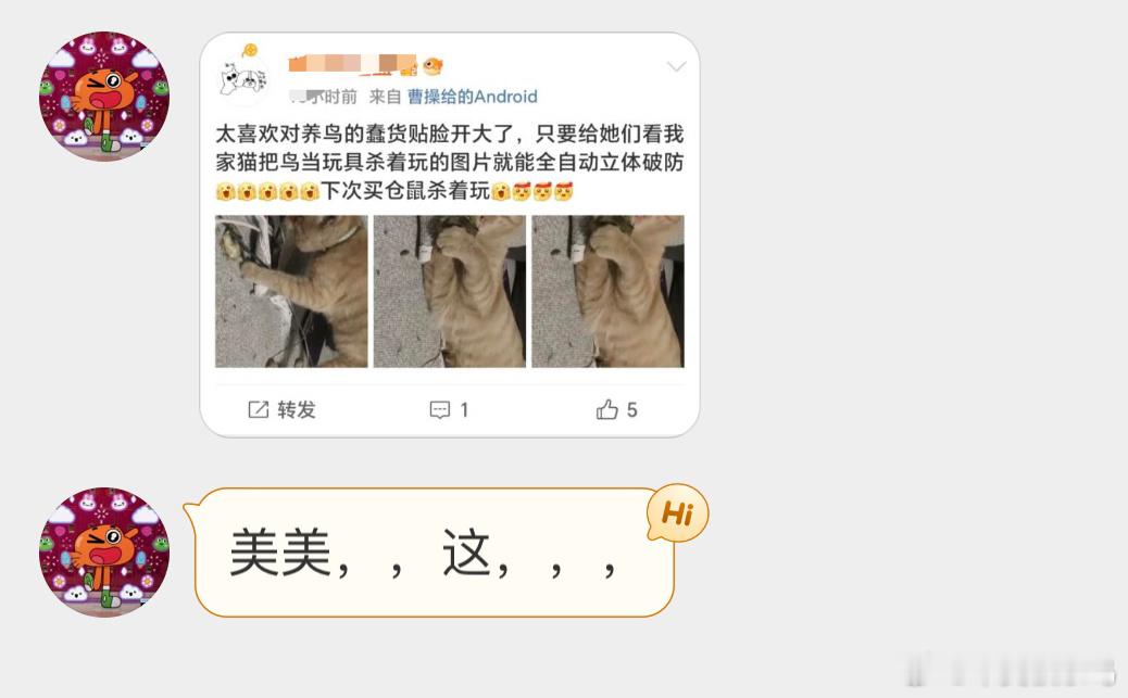 ？？？买花鸟市场非法捕捉的野生鸟类给猫玩37°的嘴是怎么说出这么冰冷的话的？ ​