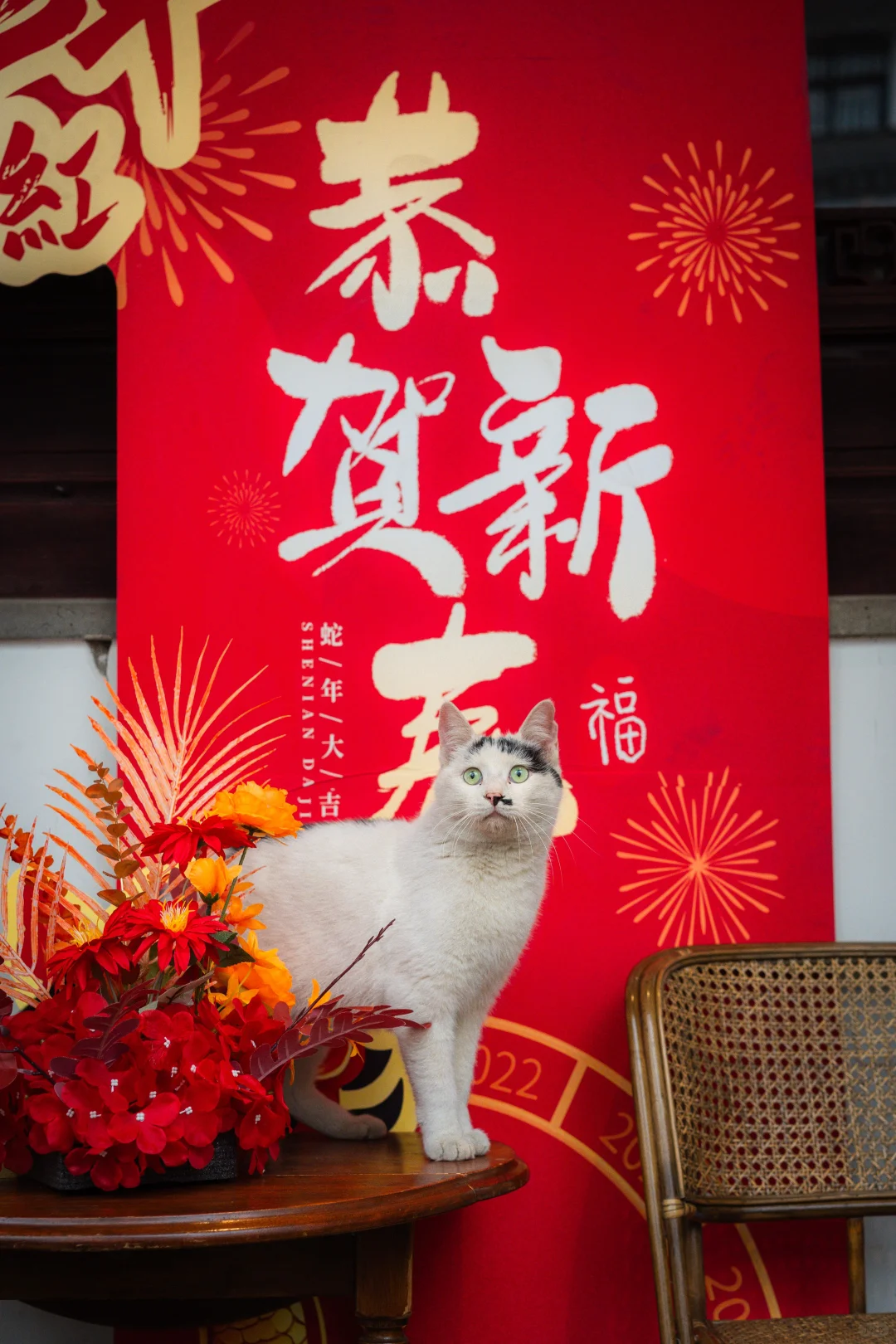 小猫咪的过年仪式感