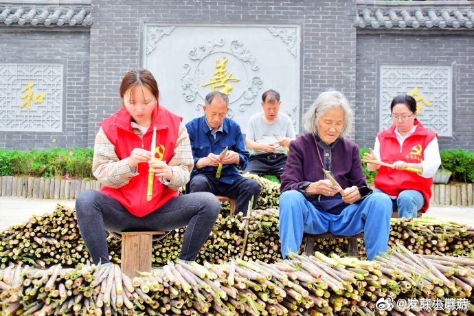台州小笋打破季节限制让村民常年有钱赚 台州天台三州乡沙岭村依托500余亩高山竹林