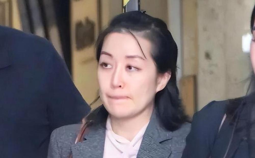 2019 年，加州圣马特奥县法院，34 岁的北京出生华裔女子李凡尼，在被控谋划谋