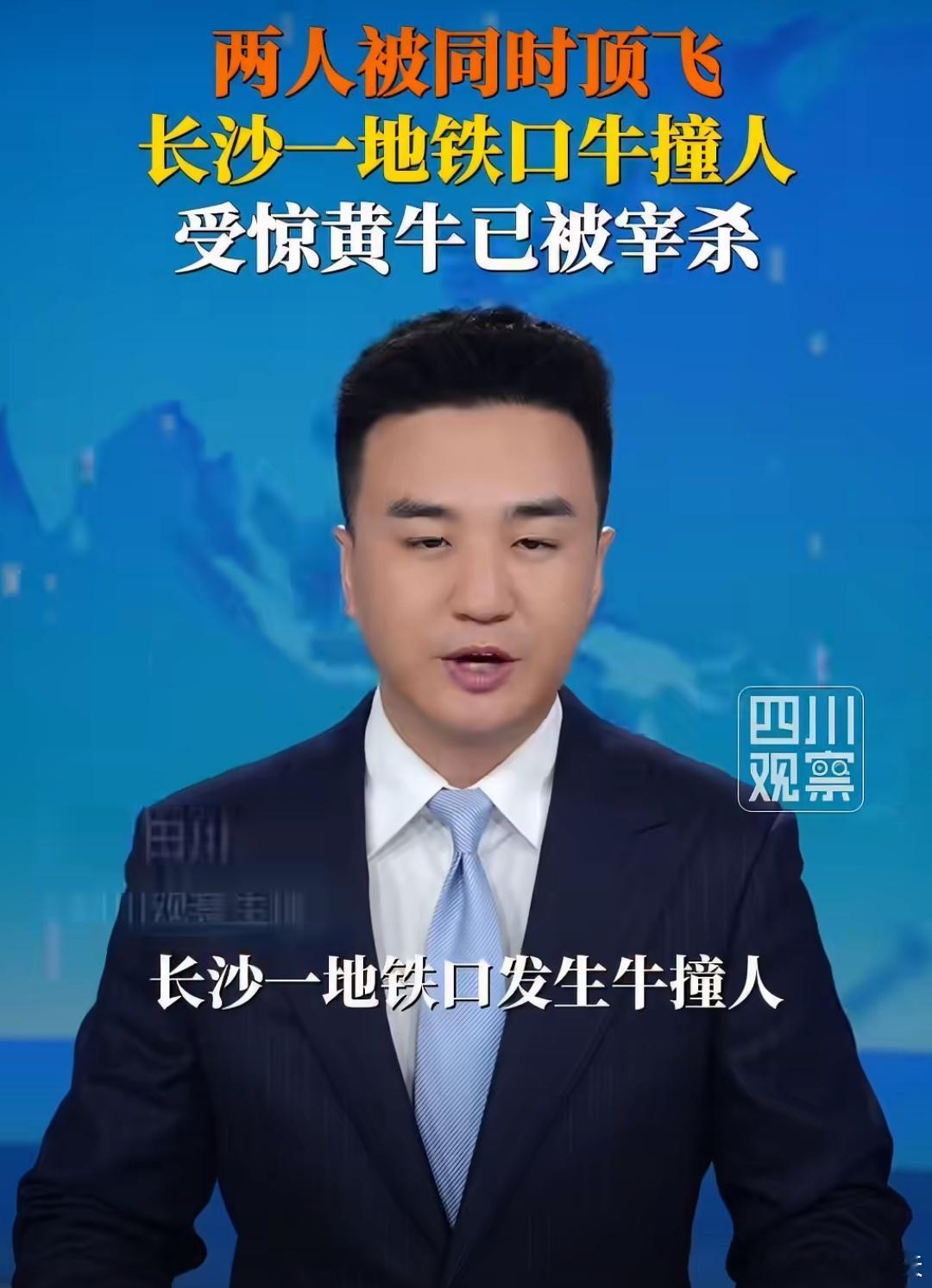 长沙地铁口牛撞人2人被顶飞长沙一地铁口出现牛撞人现象，有两人被顶飞，有消息称，这