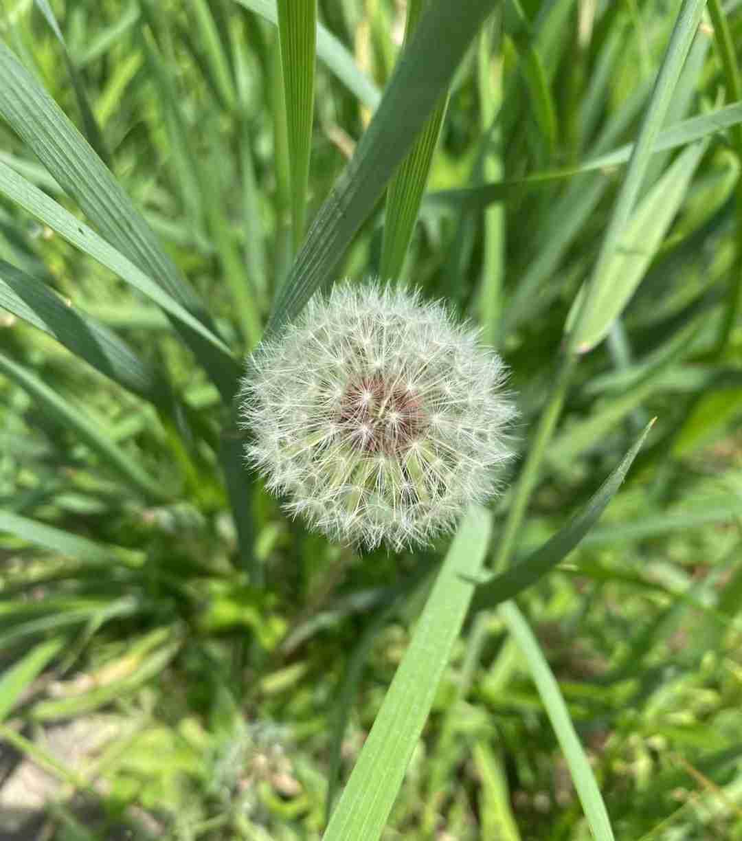 我的今日状态：💰期待暴富
我这里的天气：🌤️多云