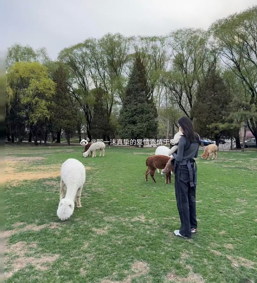 何穗带娃看小动物一沫真挚的情话何穗带娃看小动物！一沫真挚的情话