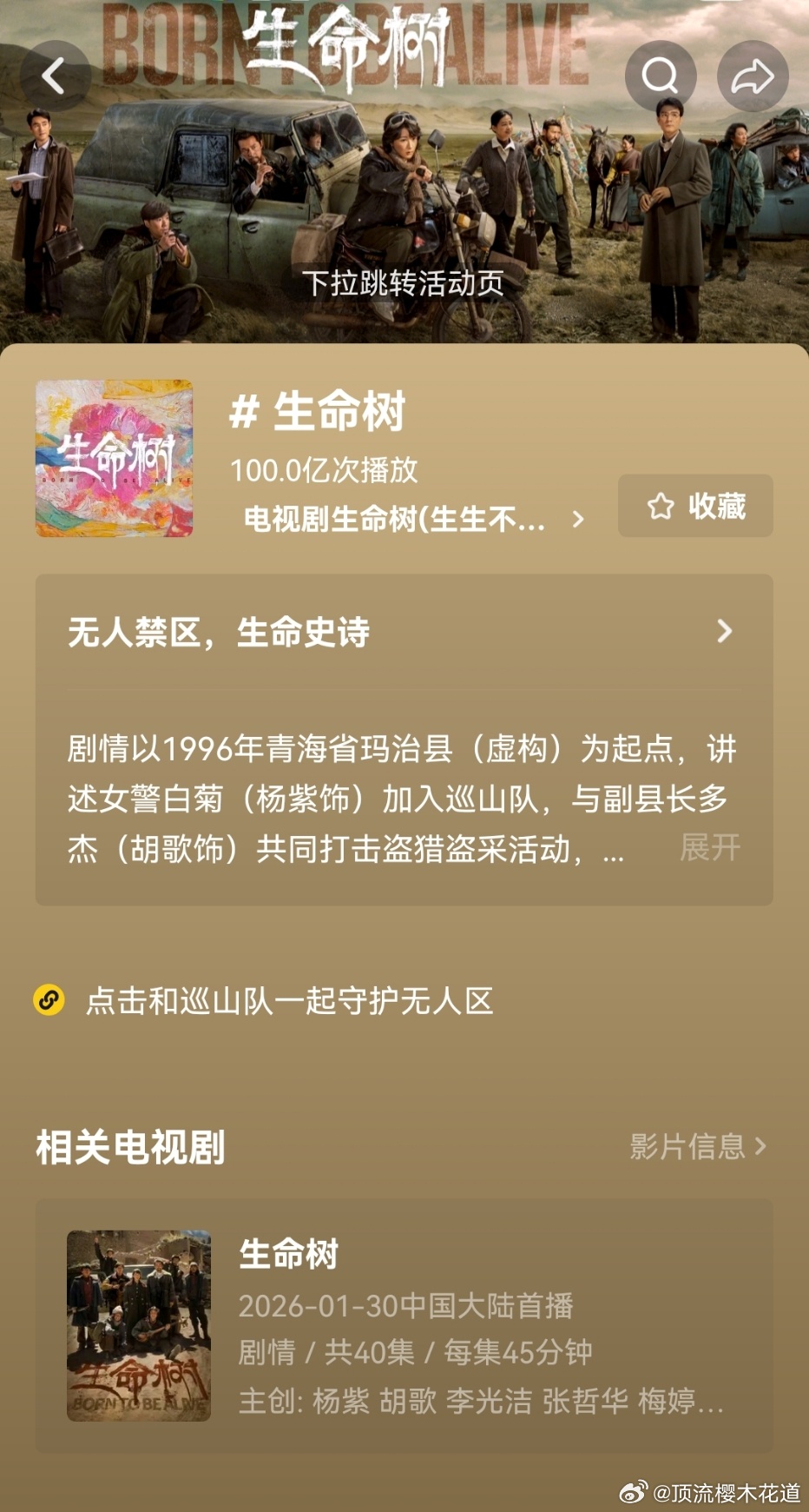 杨紫否认演白菊是刻意转型本来就是，她什么类型都演过了，转什么型？只有那些一直在某