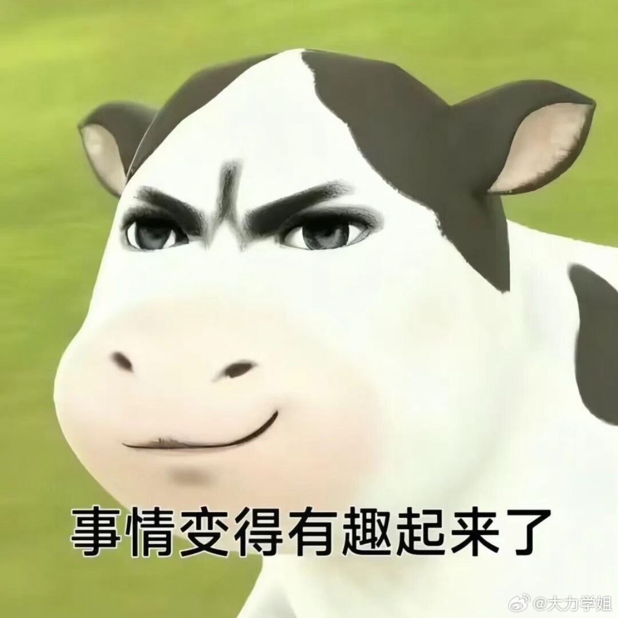 今年“夯”这个字这么火的嘛？从春晚开始各种广告的形容词都能用到它突然想起来去年总