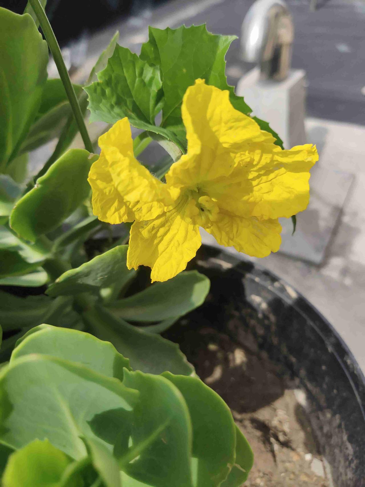我的今日状态：😁轻松愉快
我这里的天气：☀️晴天