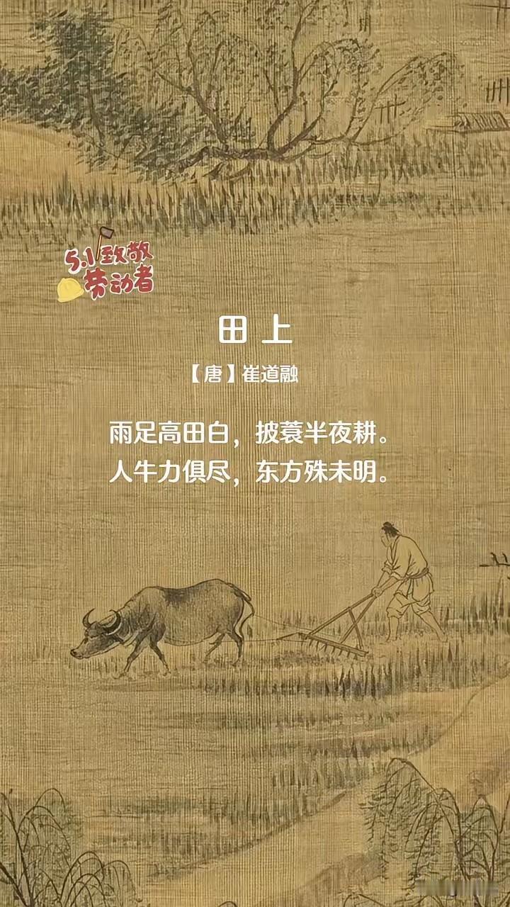 读首诗在睡觉
披蓑夜耕里的千年劳动者礼赞——崔道融《田上》赏析
 
恰逢五一国际