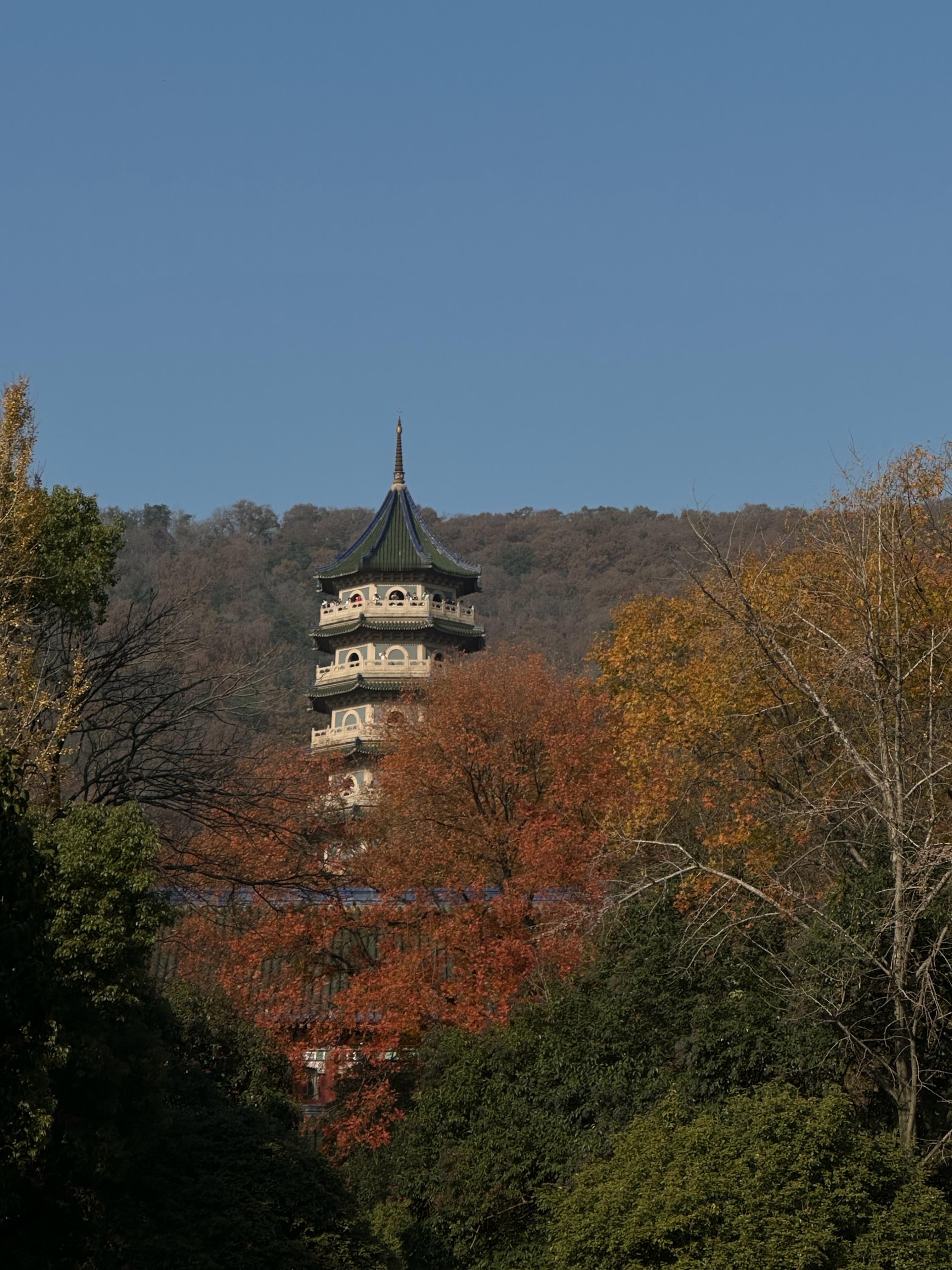 人生路上，要学会善待，善待他人，可以让人生走得更远；善待自己，可以让生命活得滋润