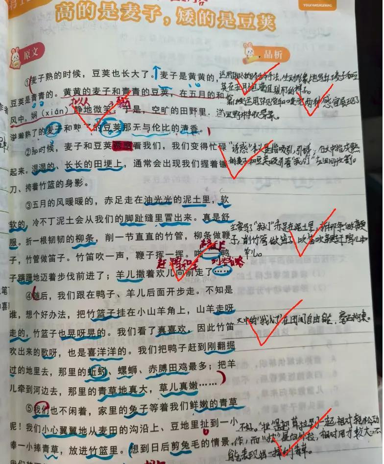 “大语文”网课，普娃钱包头号刺客

一节课几百块，孩子连课文都没读顺

三年级的