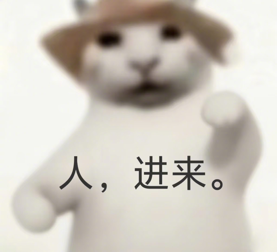 被一只猫戏耍了 