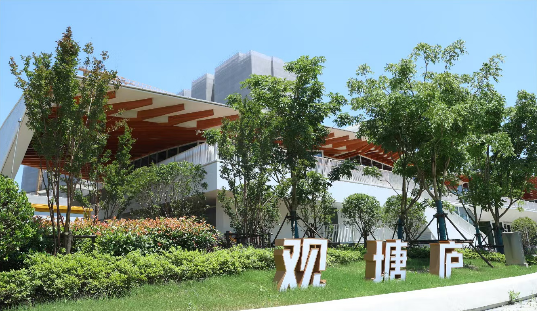 聚焦“七朵金花”｜临港全新板块，无界共生的国际综合区