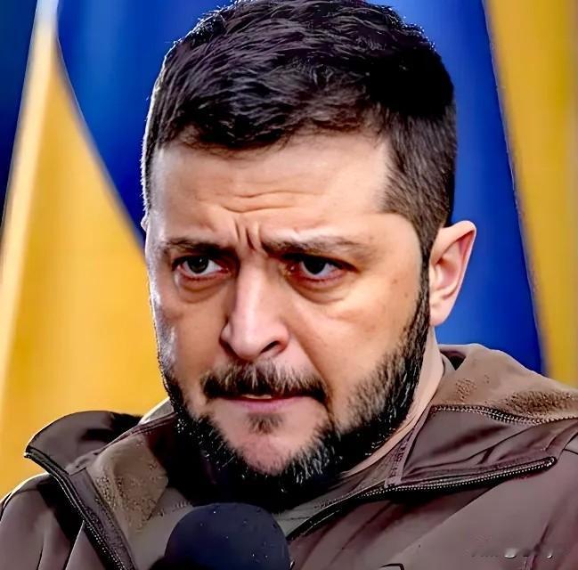 泽连斯基说：“乌克兰终将胜利，但现在赢不了，还需要盟友足够的武器”。​这是泽连斯
