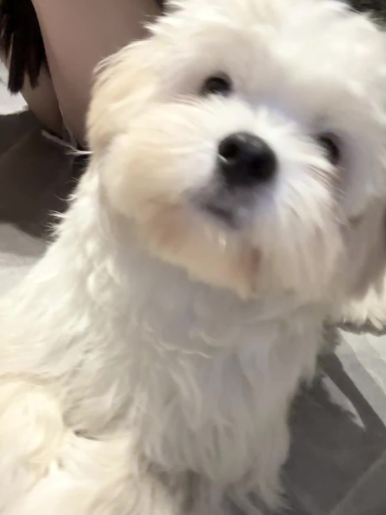 如果有人能像我爱它一样那么爱我 我曾经以为时间是最好的良药 任何伤痛任...