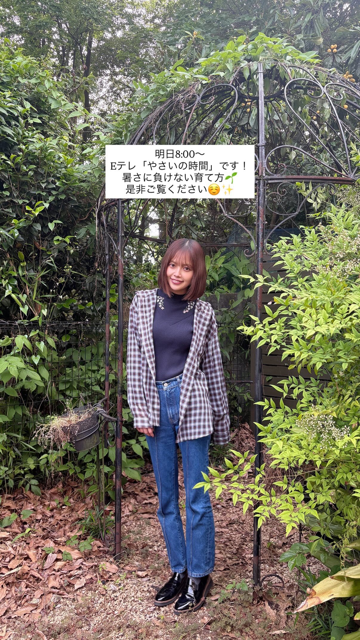 森日菜美NHK Eテレ やさいの時間です 