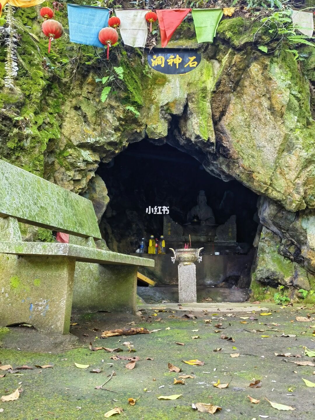 洞穴探秘|藏在东钱湖山林秘境的避世洞穴