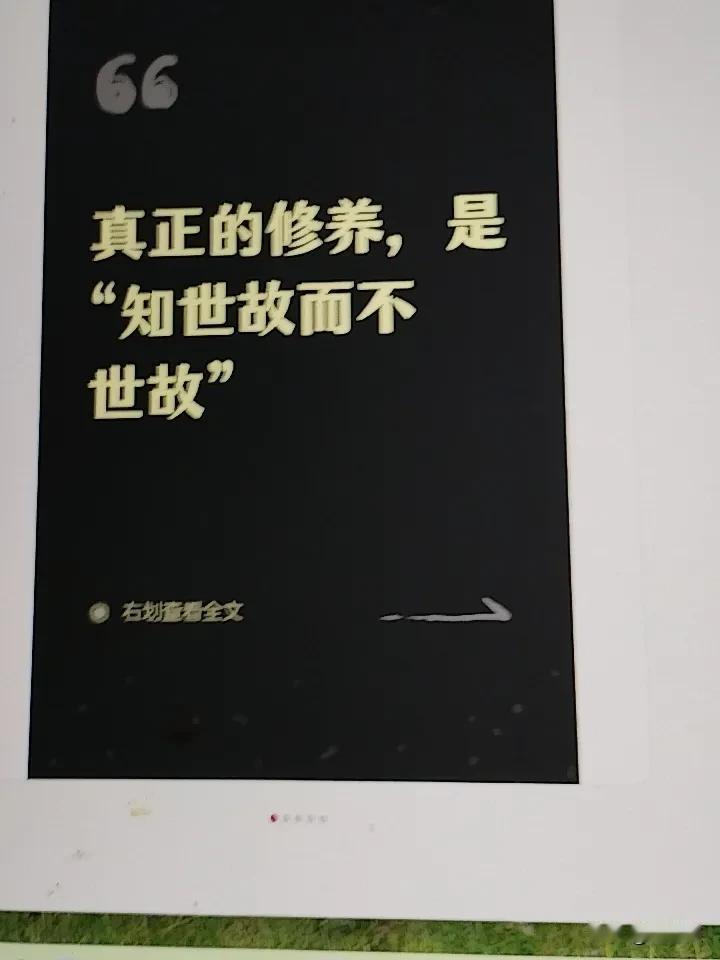 真正的修养，就是知世故而不世故。这样的人既高明又善良，他们尊重他人空间，不主动为