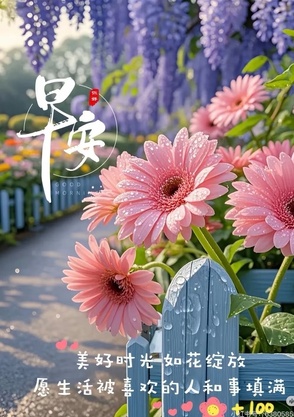 早安  𝒢𝑜𝑜𝒹 𝑀𝑜𝓇𝓃𝒾𝓃𝑔❤️ྀི晨起看太阳，心里就