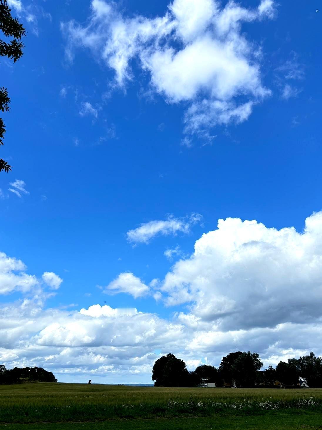 现在的人啊，就懂得玩感情，年纪大了，不怕摔跤，还学着年轻人玩花，看着就为他干不咋