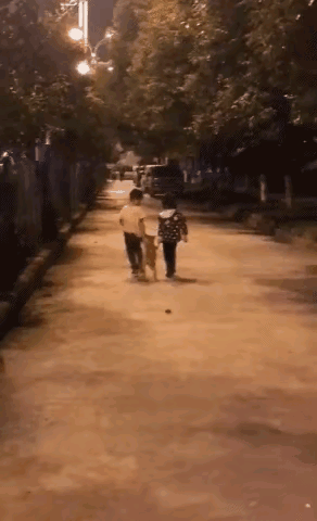 这不是在溜狗，而是赤裸裸的绑架，还没法报警。[黑线]