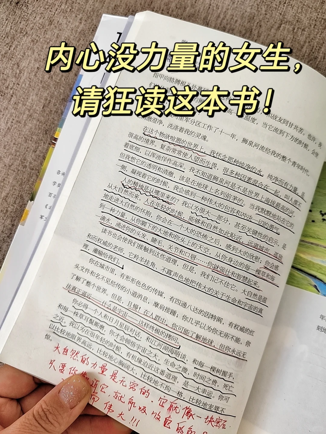 至今读过的，最滋养女性的书！