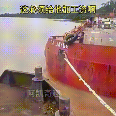男子的应变能力绝对超一流[星星眼]