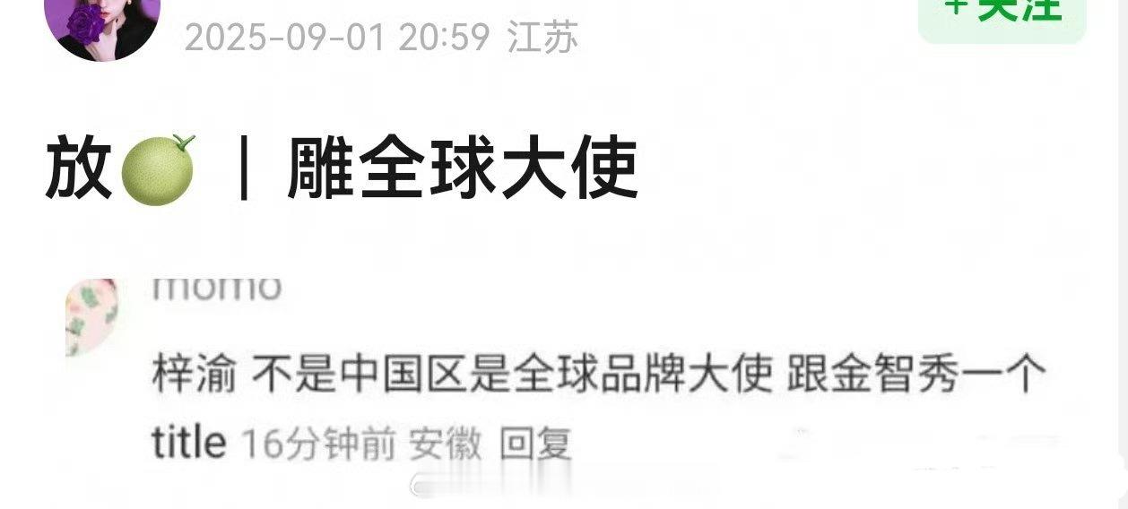🍉梓渝 DIOR 全球品牌大使，和金智秀一个 title ​​​