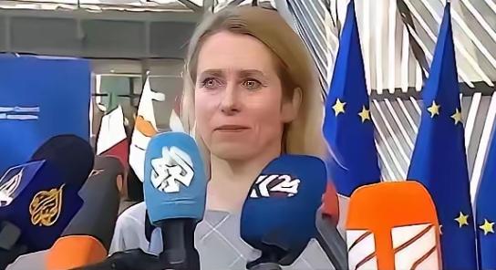 欧盟正式官宣了一个让全球科研界震动的决定：从2026年起，将中国科研机构全面排除