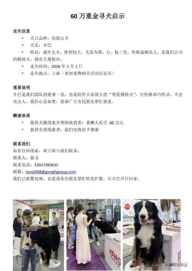 悬赏60万！找狗！

家人们，最近一则“重金寻狗”的启事在网上炸开了锅！广东惠州